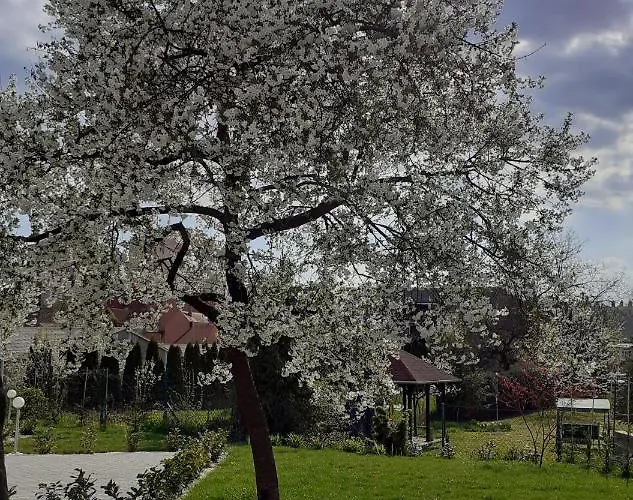 Premium Vendeghaz Pensjonat