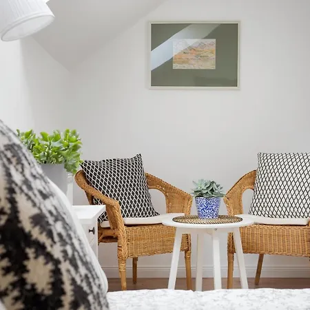 Premium Vendeghaz Eğri