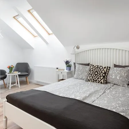 Premium Vendeghaz Eğri