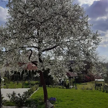 Premium Vendeghaz Pensjonat