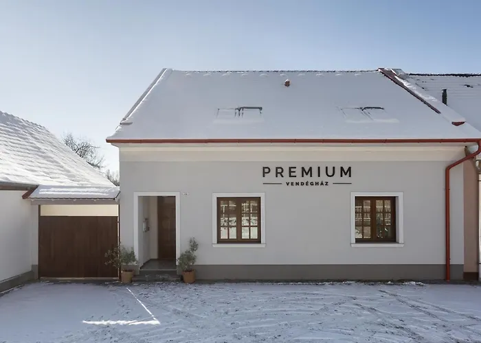 Guest house Premium Vendeghaz 3*